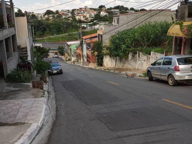 À 500m DA ESTRADA DOS ROMEIROS